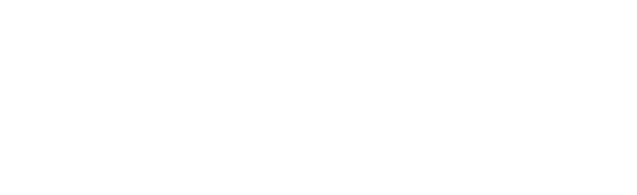 Yellowstone EBikes